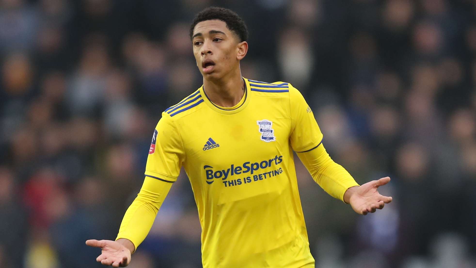 他们的爱情 他们的爱情