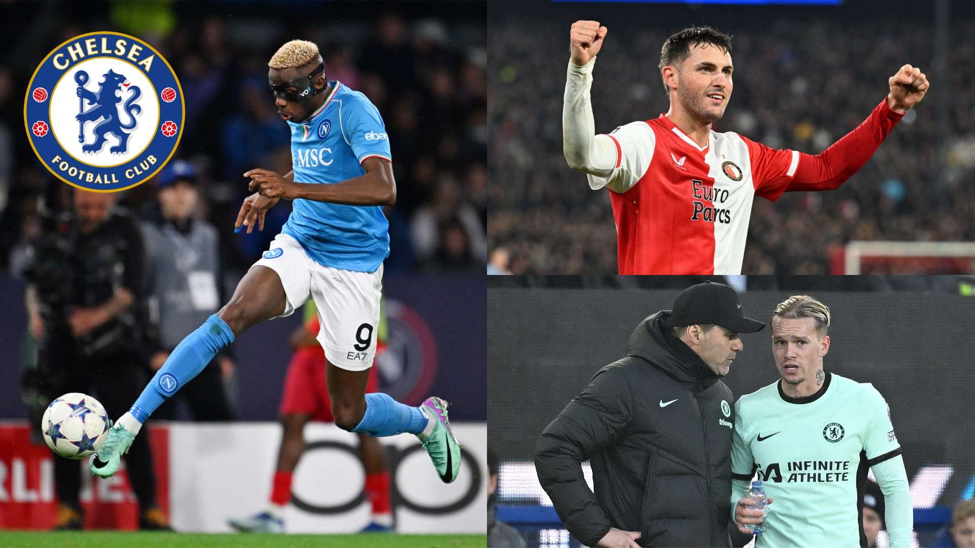 新绽放光彩 新绽放光彩